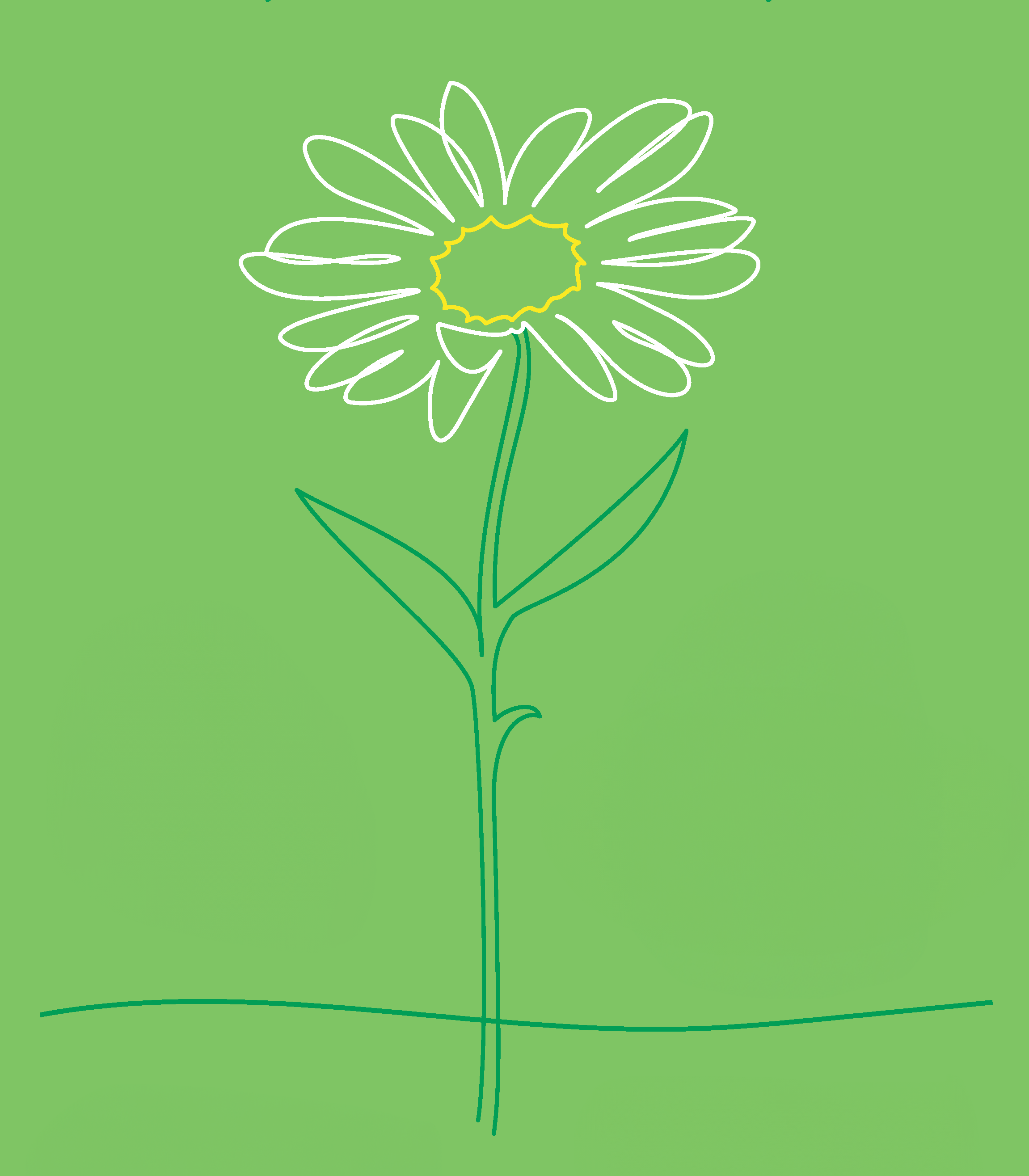 Daisy Program Flower